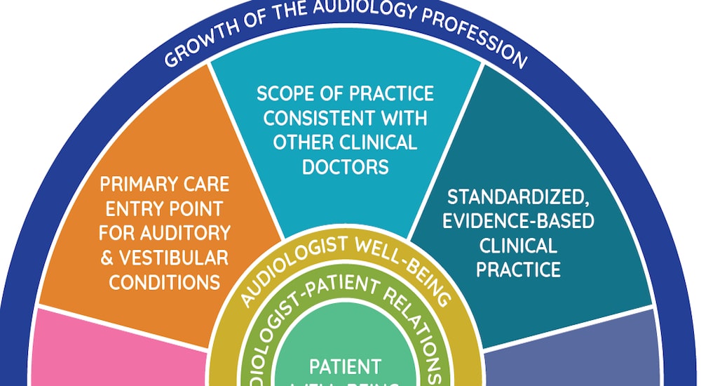 hearing care pathways,audiology profession